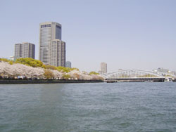Ԍ in 12