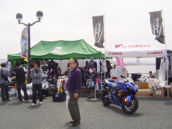 JETJ[jo@inF̕l2