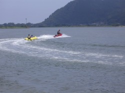CV&BBQ8