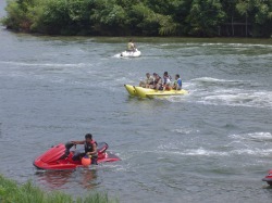 CV&BBQ12