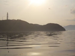 2011N@{[gGMOi肢jLy[̒މʁ@i2