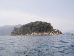 2011N@{[gGMOi肢jLy[̒މʁ@i3