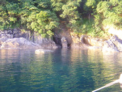 2011N@{[gGMOi肢jLy[̒މʁ@i7