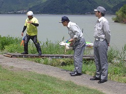 SuK6