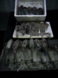 "2012N114@{[gGMOiAICJj@މ