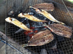 CV&BBQ