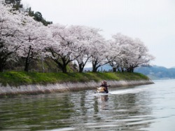 Ԍ in ߘpA