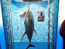 50th tBbVOV[ OSAKA2013