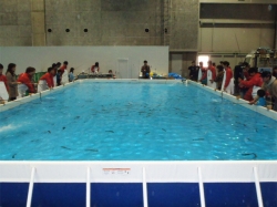 50th tBbVOV[ OSAKA2013